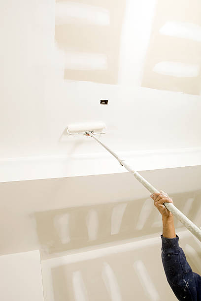 Best Mold Damage Restoration  in Lynnville, IN