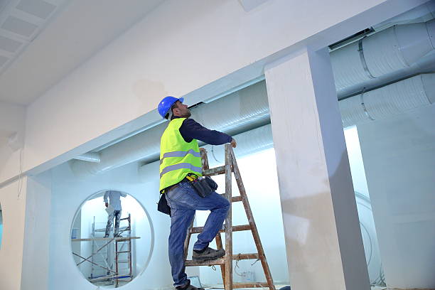 Best Attic Mold Removal  in Lynnville, IN