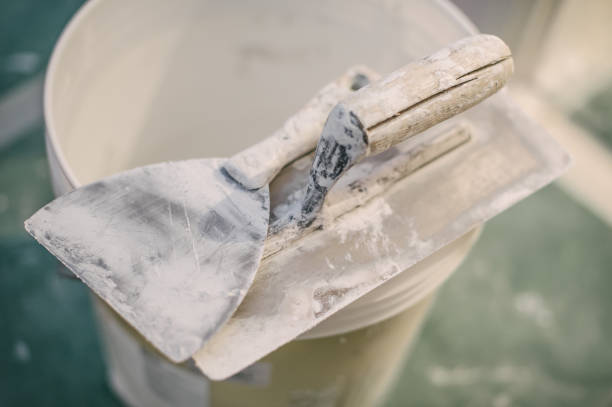 Best Mold Remediation for Healthcare Facilities  in Lynnville, IN